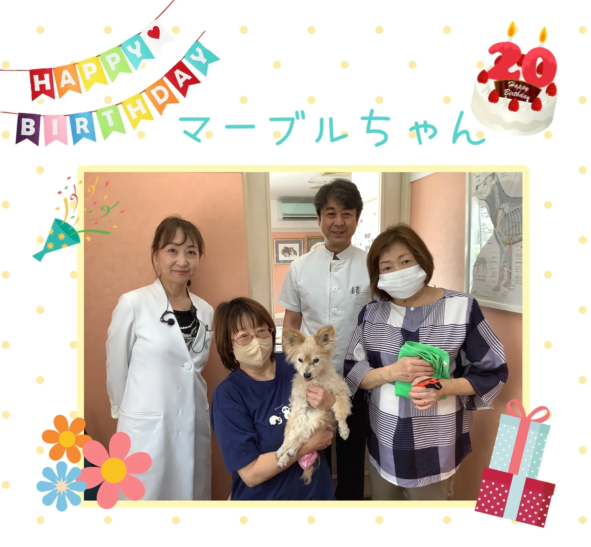 ㊗️20歳‼️ ご長寿犬 マーブルちゃん🐶💕　町田市　動物病院