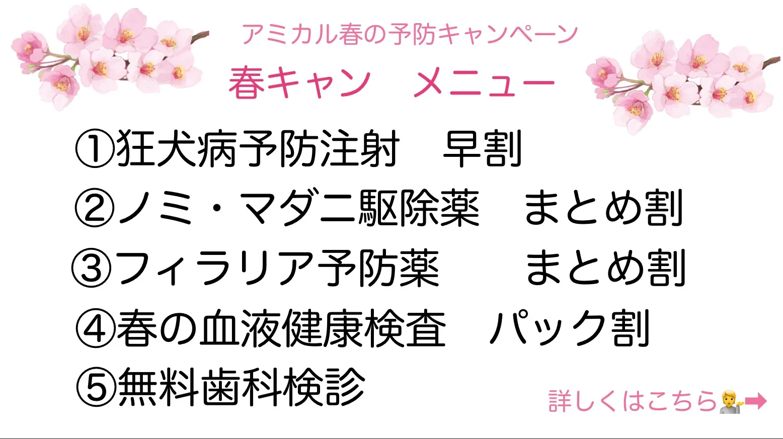 🌸春のキャンペーン①狂犬病予防注射早割💉【犬】町田市/動物病院