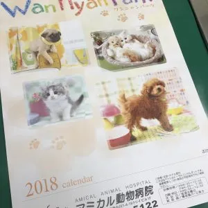 2018わんにゃん🐶🐱カレンダーご用意しました