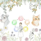 東洋医学 (中医学) 診療科